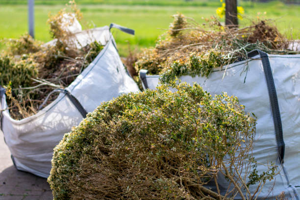 Best Same-Day Junk Removal  in St Marys, WV
